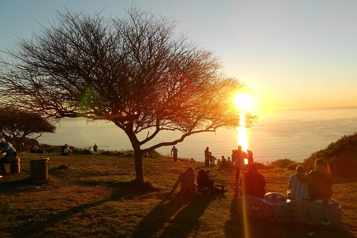 Enjoy your picnic on Signal Hill